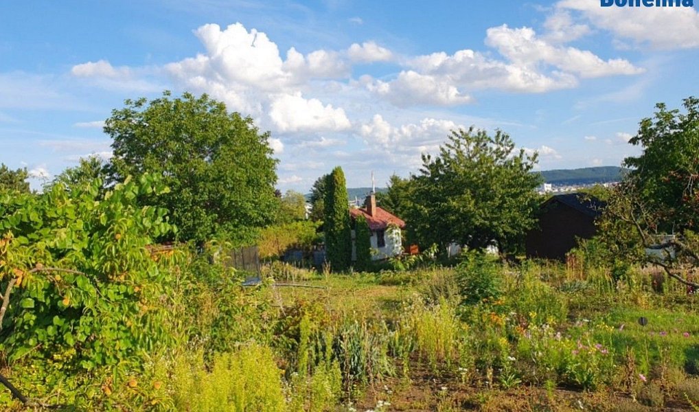 Prodej chaty/chalupy 20 m² s pozemkem 400 m², Kosmonosy – náhled fotky 14