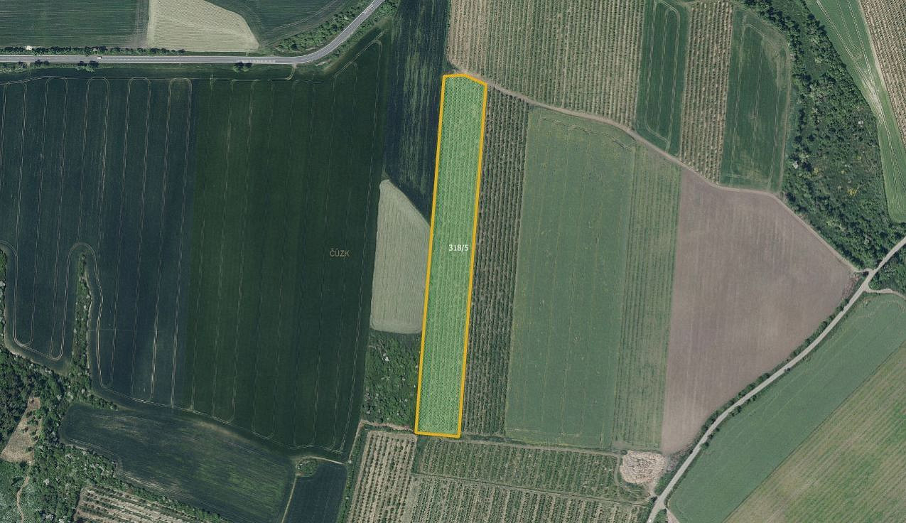 Prodej pole 133 318 m² — photo 3