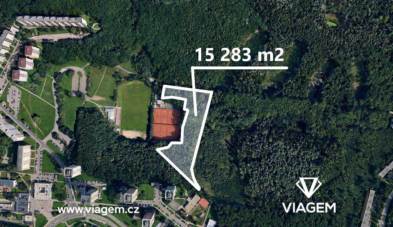 Prodej lesa 955 m²