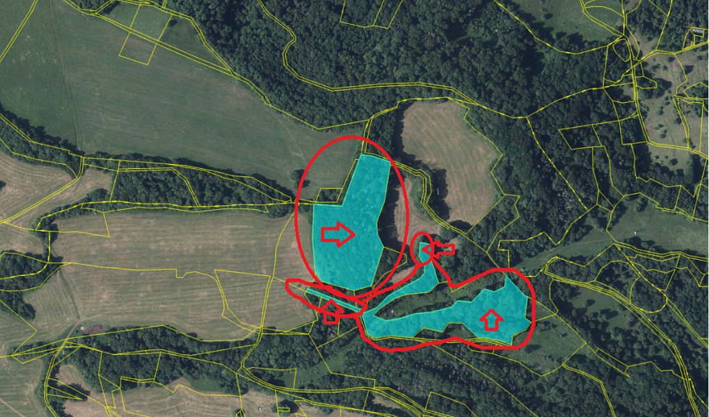 Prodej lesa 44 008 m², Jílové – náhled fotky 12