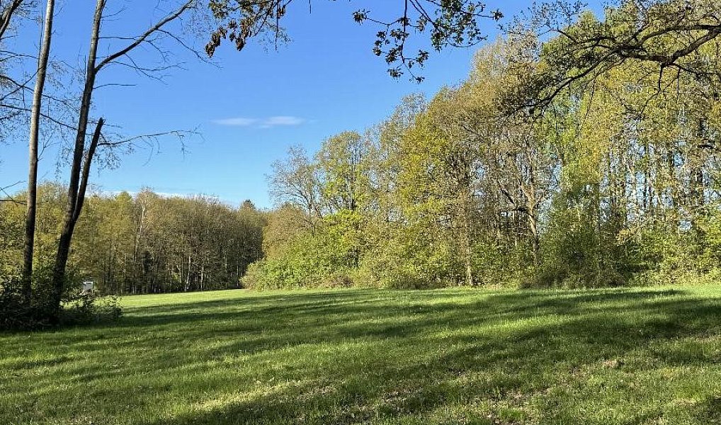Prodej pozemku 20 250 m², Nýřany – náhled fotky 3