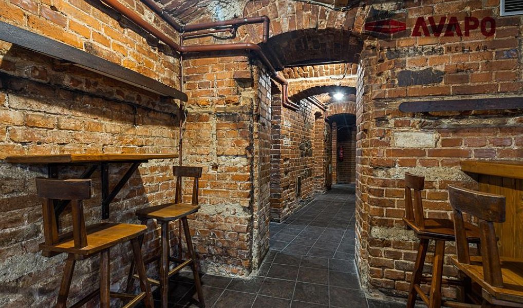 Prodej obchodních prostor 166 m², Opava – náhled fotky 9