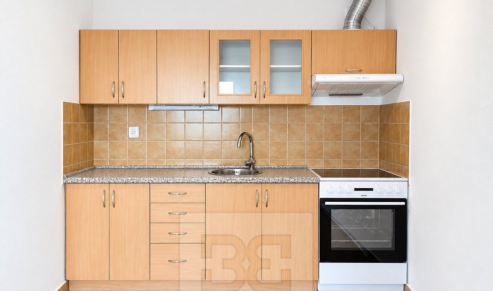 Pronájem bytu 1+kk 42 m², Liberec – náhled fotky 3