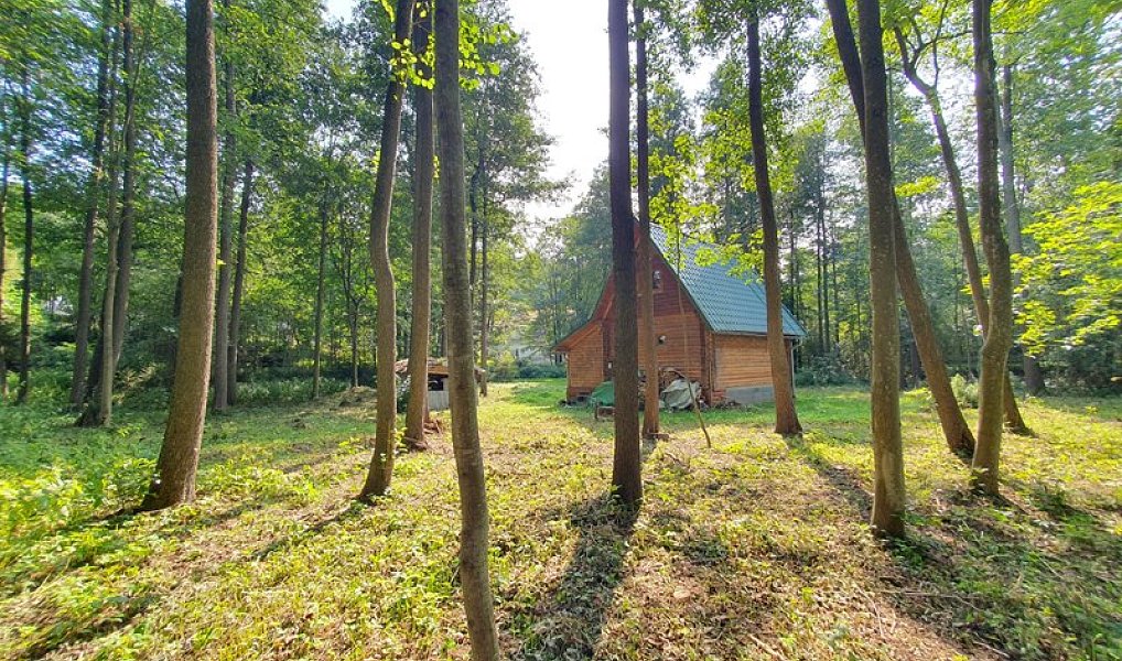 Prodej chaty/chalupy 70 m² s pozemkem 3 502 m², Malá Morávka – náhled fotky 3