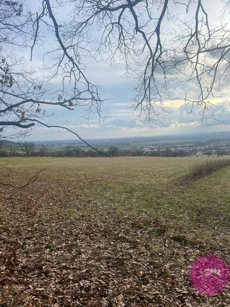Prodej louky 27 123 m² — photo 2