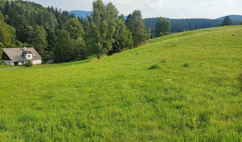 Prodej stavebního pozemku 22 105 m², Lipová-lázně – náhled fotky 5