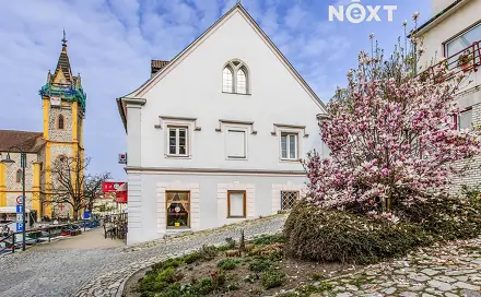 Prodej domu 533 m² s pozemkem 533 m², nám. Čsl. armády, Hluboká nad Vltavou, okres České Budějovice