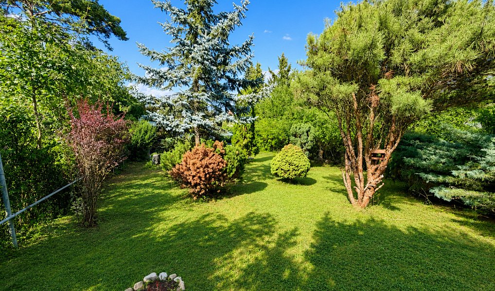 Prodej zahrady 774 m², Veverská Bítýška – náhled fotky 4