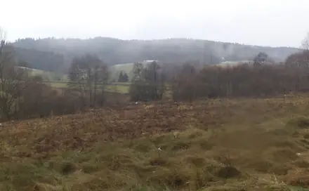 Dražba louky 919 m², Malšín