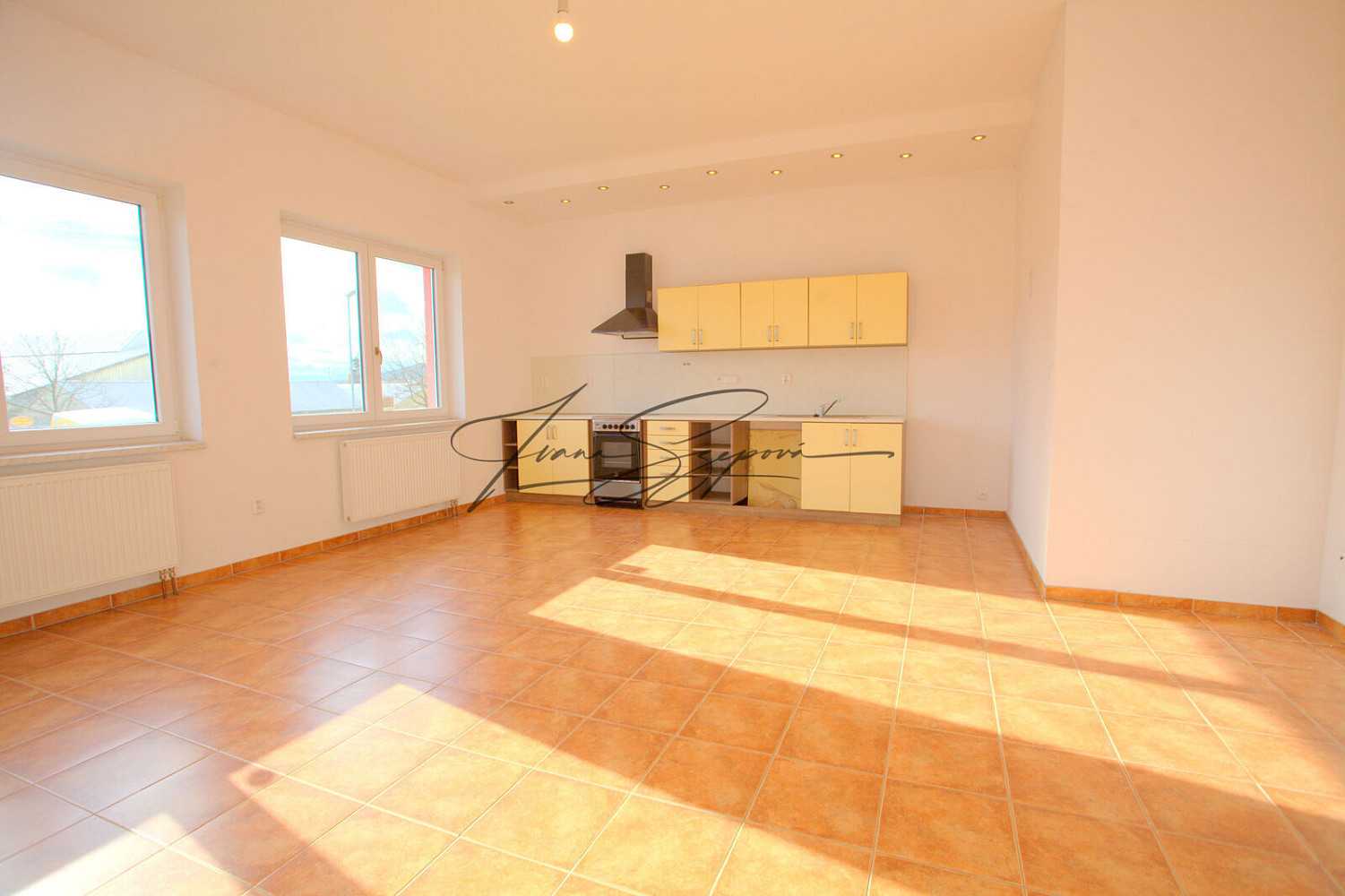 Pronájem výrobních prostor 245 m² – fotografie 2