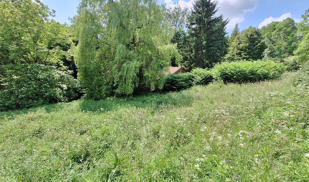 Prodej domu 80 m² s pozemkem 18 929 m², Žítková – náhled fotky 14