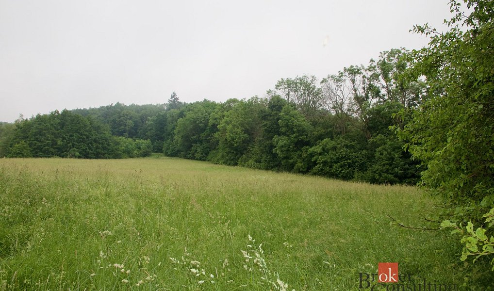 Prodej louky 89 230 m², Úštěk – náhled fotky 2