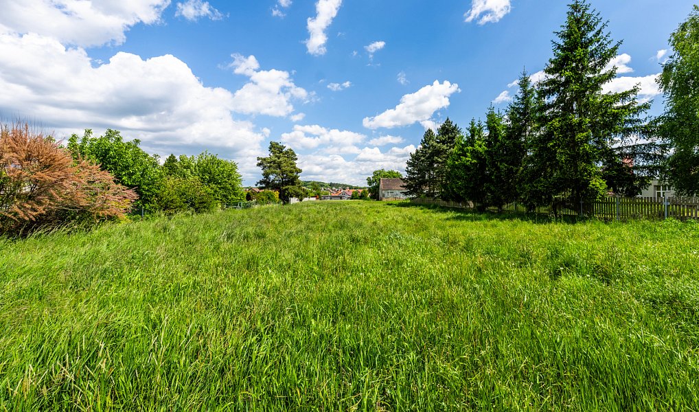 Prodej stavebního pozemku 10 396 m², Staňkov – náhled fotky 9