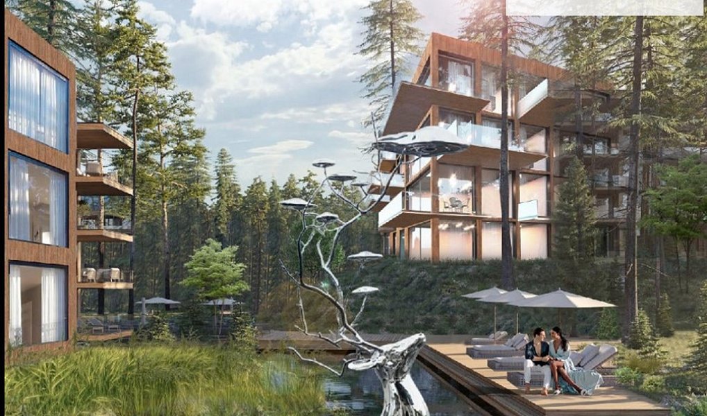 Prodej komerčního objektu (jiného typu) 12 000 m², Hazlov – náhled fotky 23