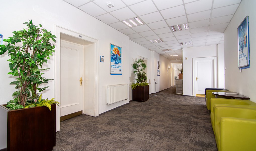 Pronájem kanceláře 153 m², Frýdek-Místek – náhled fotky 3