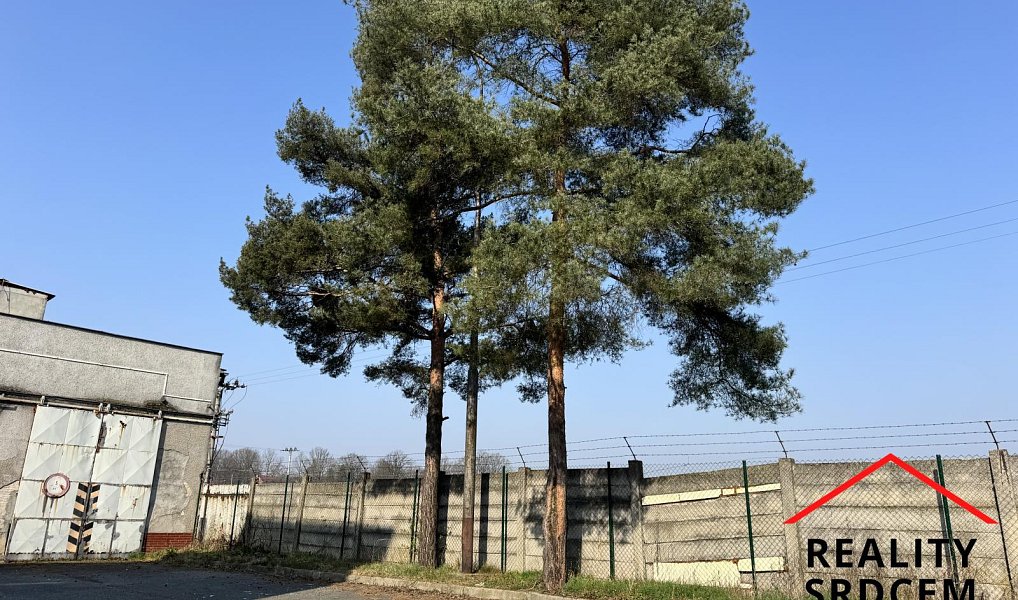 Pronájem výrobních prostor 855 m², Ostrava – náhled fotky 12