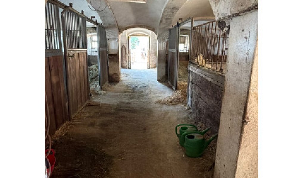Prodej zemědělského objektu 300 m², Varnsdorf – náhled fotky 20