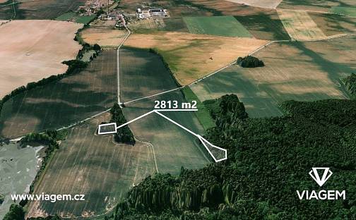 Prodej lesa 8 463 m², Bačice, okres Třebíč
