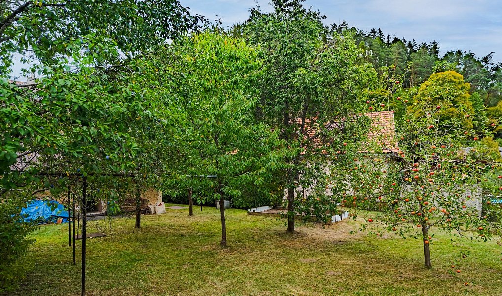 Prodej domu 142 m² s pozemkem 522 m², Svojanov – náhled fotky 12