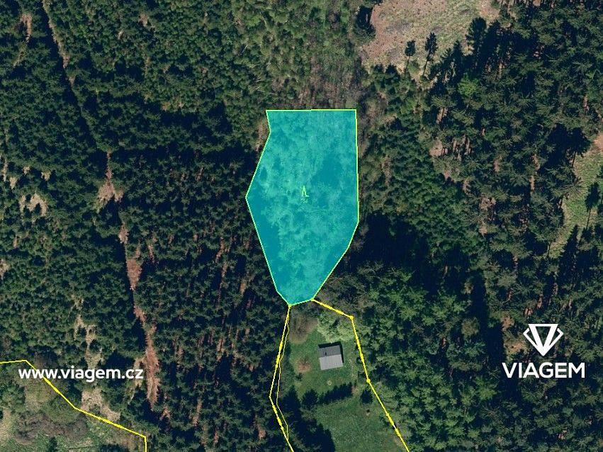 Prodej lesa 1 638 m² – fotografie 3