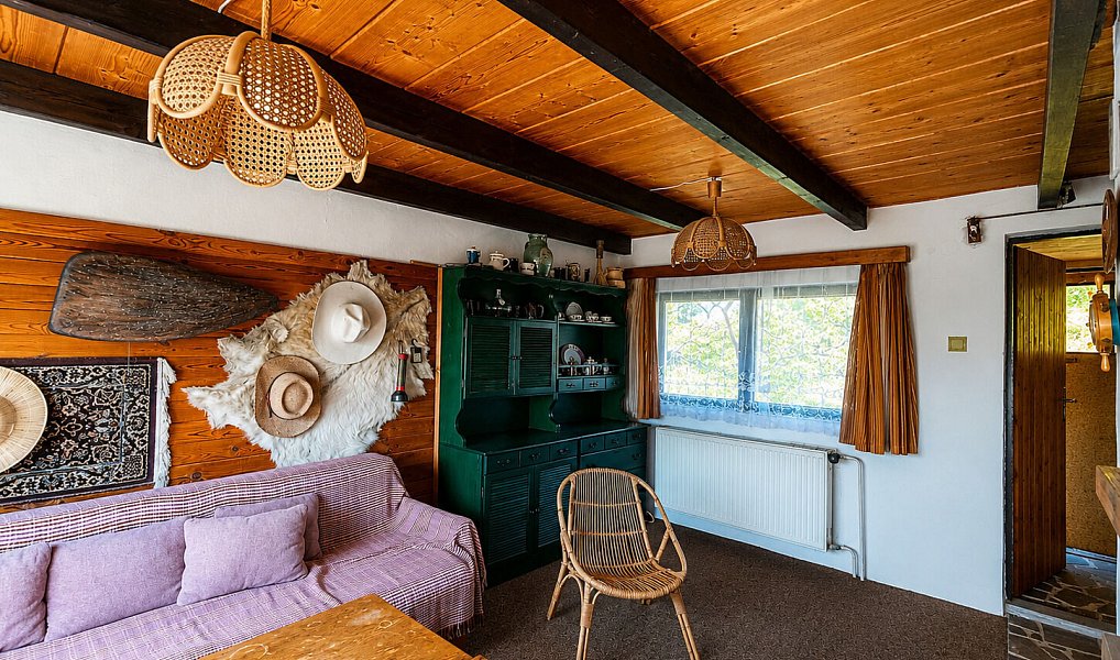 Prodej chaty/chalupy 50 m² s pozemkem 215 m², Borotice – náhled fotky 7