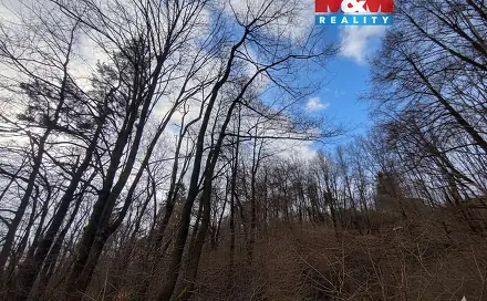 Prodej lesa 87 259 m², Nový Jičín