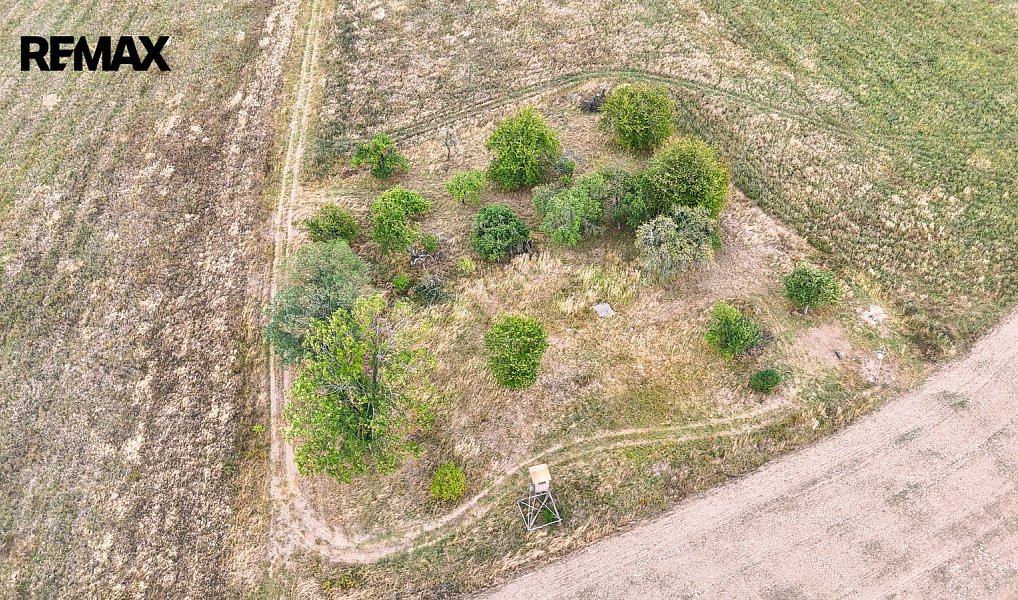 Prodej stavebního pozemku 3 633 m², Ošelín – náhled fotky 10