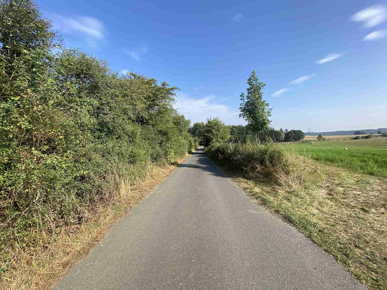 Prodej pozemku 5 704 m² – fotografie 2