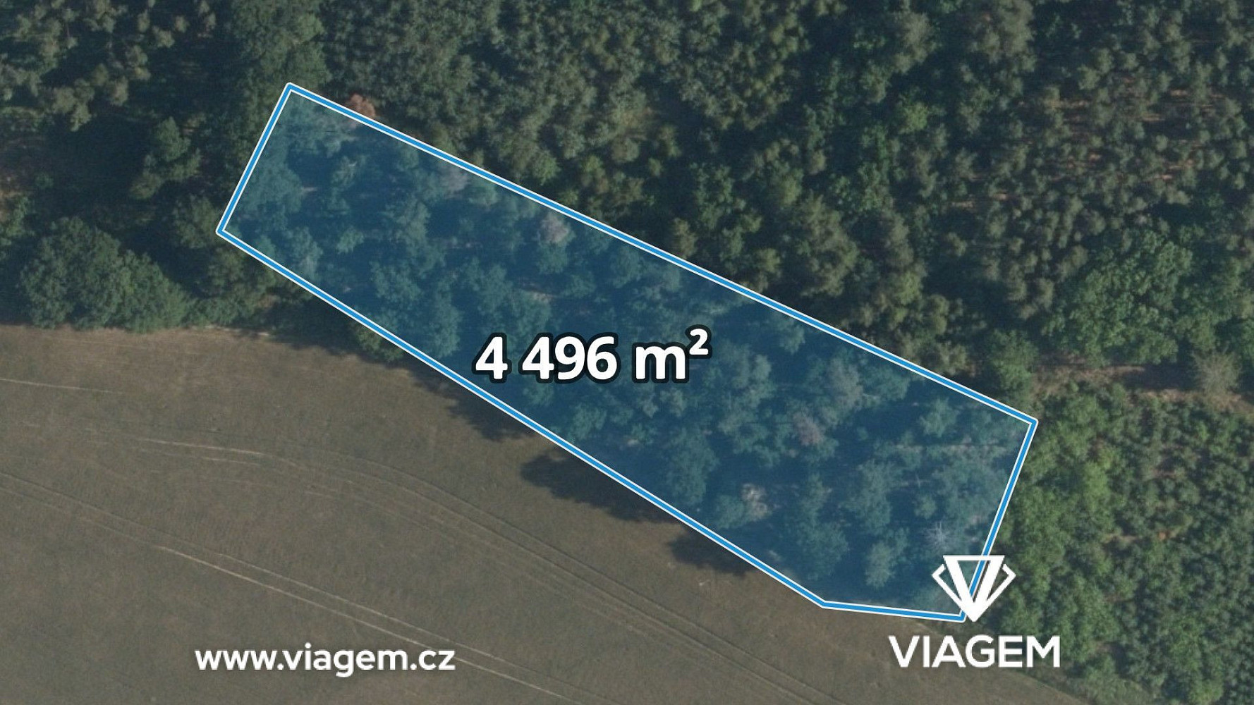 Prodej lesa 4 496 m²