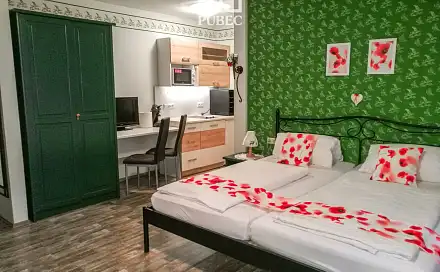 Prodej bytu 1+kk 27 m², Grafenwiesen, Německo