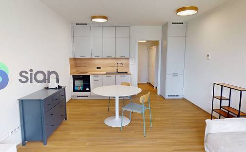 Pronájem bytu 1+kk 34 m², U Hájenky, Ostrava - Slezská Ostrava