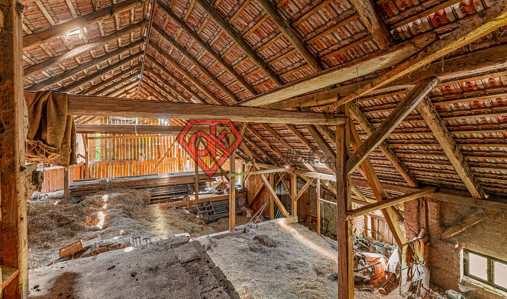Prodej domu 216 m² s pozemkem 4 048 m², Osečnice – náhled fotky 16