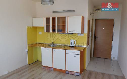 Pronájem bytu 1+1 35 m², Petra Obrovce, Louny