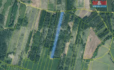 Prodej lesa 13 770 m², Jetětice, okres Písek