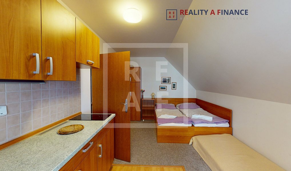 Prodej ubytovacího objektu 441 m², Železná Ruda – náhled fotky 3