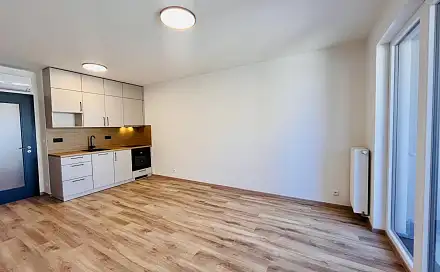 Pronájem bytu 1+kk 33 m²