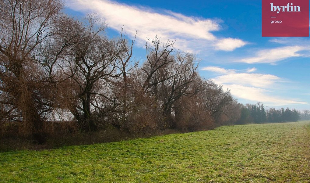 Prodej pole 604 m², Bukovany – náhled fotky 5