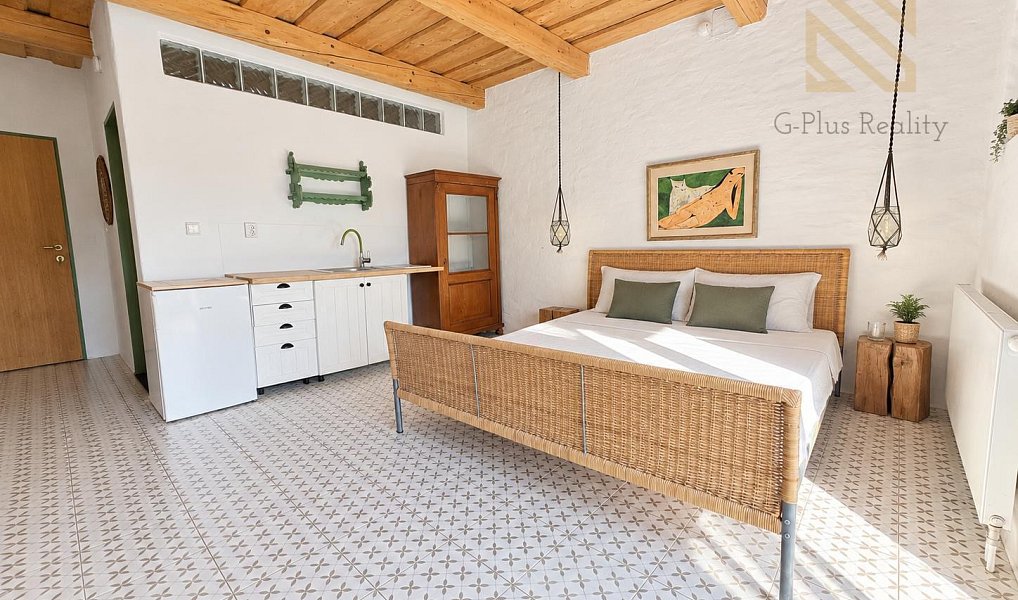 Pronájem bytu 1+kk 28 m², Černiv – náhled fotky 3