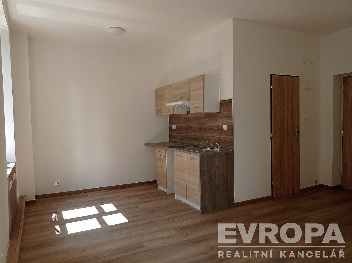 Pronájem bytu 1+kk 49 m² — photo 3