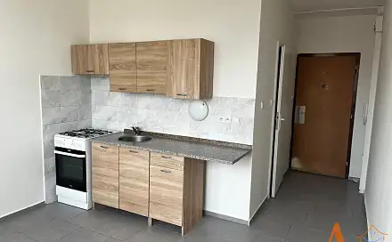 Pronájem bytu 1+1 35 m²