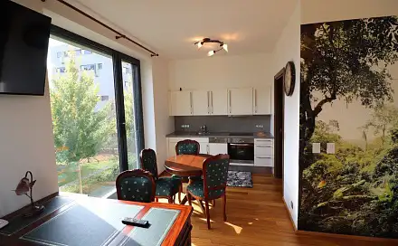 Pronájem bytu 1+kk 36 m², K sídlišti, Praha 4 - Nusle