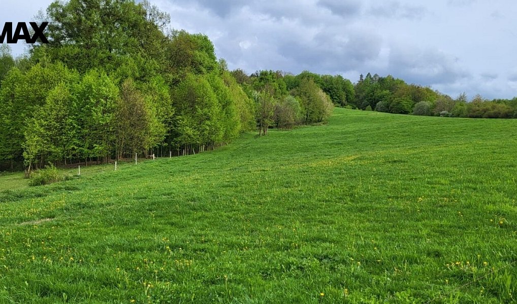 Prodej zahrady 11 072 m², Rožnov pod Radhoštěm – náhled fotky 15