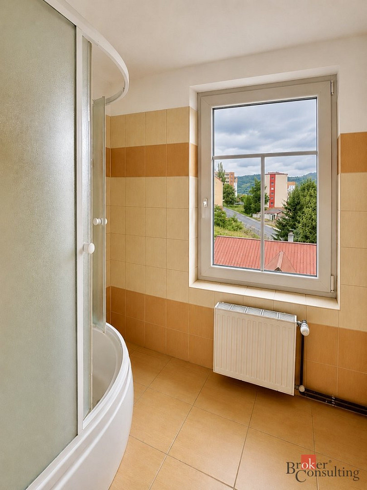 Pronájem bytu 1+1 40 m² — photo 3