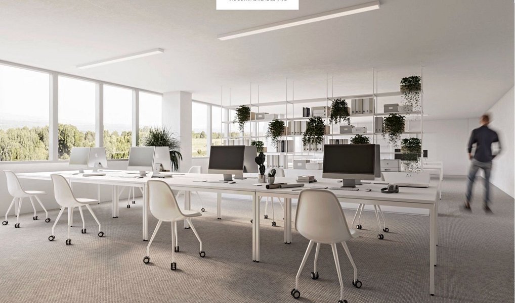 Pronájem skladovacích prostor 3 000 m², Tachov – náhled fotky 14