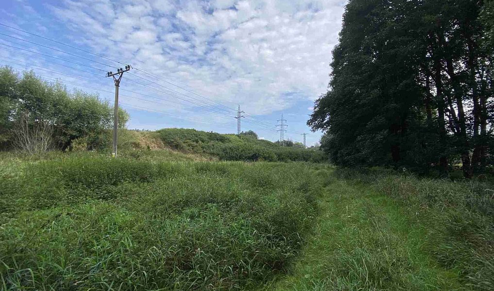 Prodej pozemku, 2776 m², Tachov