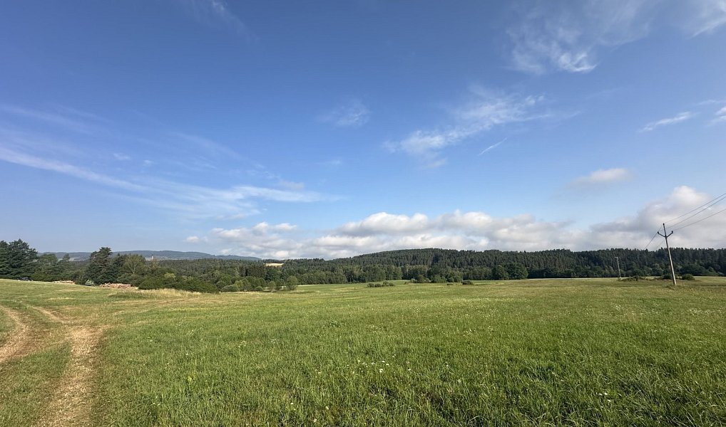 Prodej pole 27 326 m², Kaplice – náhled fotky 2