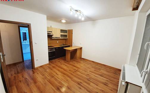 Pronájem bytu 2+kk 45 m², Slavkov u Brna, okres Vyškov