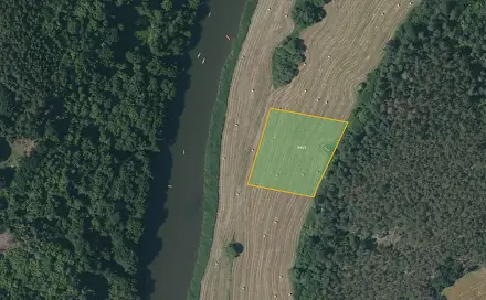 Prodej louky 3 929 m², Bohy - Rakolusky, okres Plzeň-sever