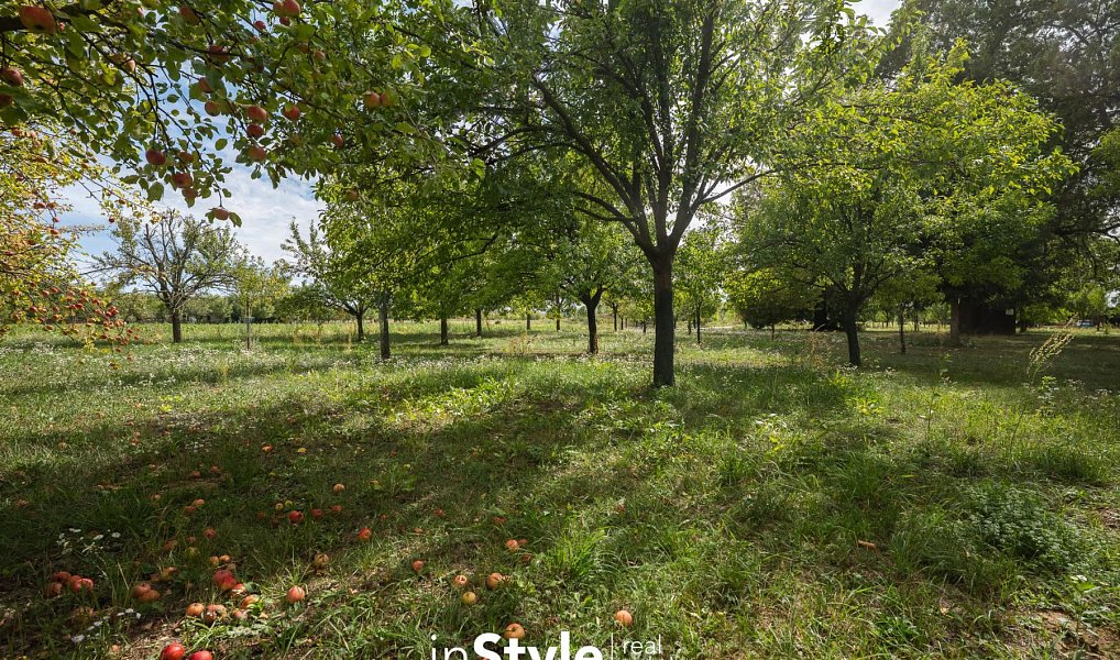 Prodej zahrady 1 689 m², Uherský Ostroh – náhled fotky 8