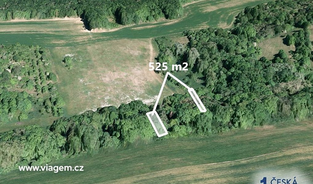 Prodej lesa 525 m², Hradčovice – náhled fotky 2